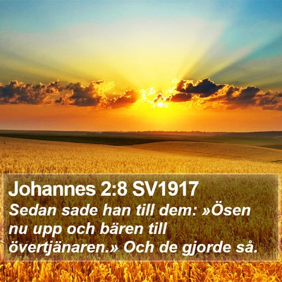 Johannes 2:8 SV1917 Bible Verse Image