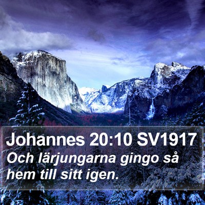 Johannes 20:10 SV1917 Bible Verse Image