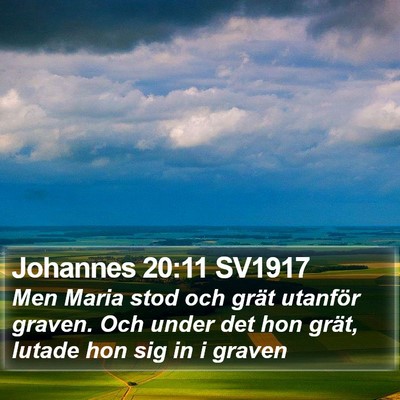 Johannes 20:11 SV1917 Bible Verse Image