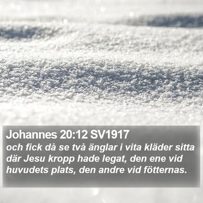 Johannes 20:12 SV1917 Bible Verse Image