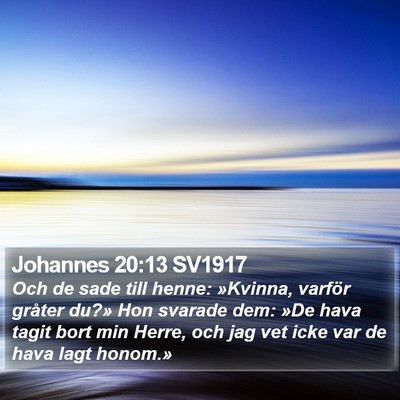 Johannes 20:13 SV1917 Bible Verse Image