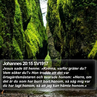Johannes 20:15 SV1917 Bible Verse Image