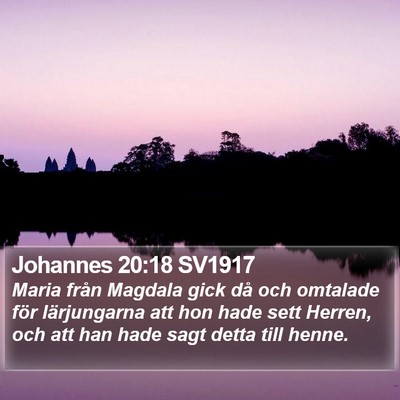 Johannes 20:18 SV1917 Bible Verse Image
