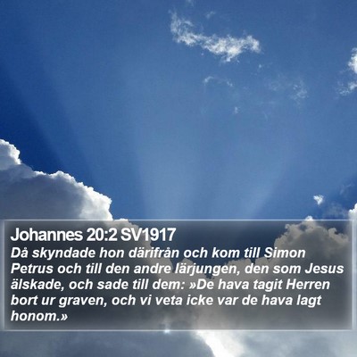 Johannes 20:2 SV1917 Bible Verse Image