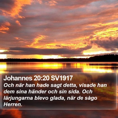 Johannes 20:20 SV1917 Bible Verse Image