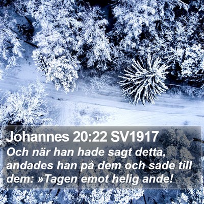 Johannes 20:22 SV1917 Bible Verse Image