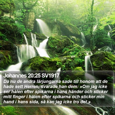 Johannes 20:25 SV1917 Bible Verse Image
