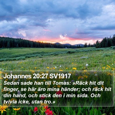 Johannes 20:27 SV1917 Bible Verse Image