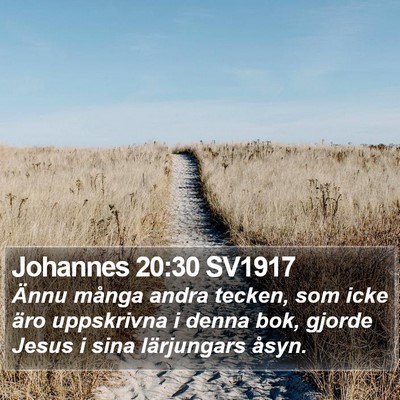 Johannes 20:30 SV1917 Bible Verse Image