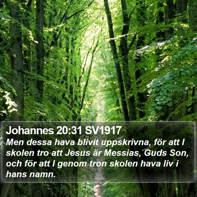Johannes 20:31 SV1917 Bible Verse Image