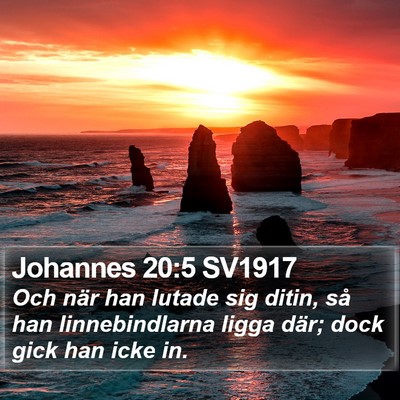 Johannes 20:5 SV1917 Bible Verse Image