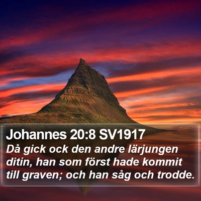 Johannes 20:8 SV1917 Bible Verse Image