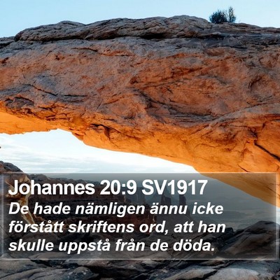 Johannes 20:9 SV1917 Bible Verse Image
