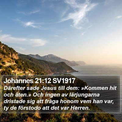Johannes 21:12 SV1917 Bible Verse Image