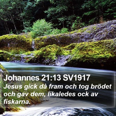 Johannes 21:13 SV1917 Bible Verse Image
