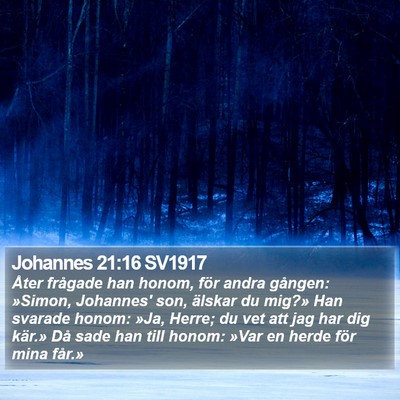 Johannes 21:16 SV1917 Bible Verse Image