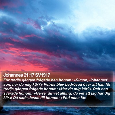 Johannes 21:17 SV1917 Bible Verse Image