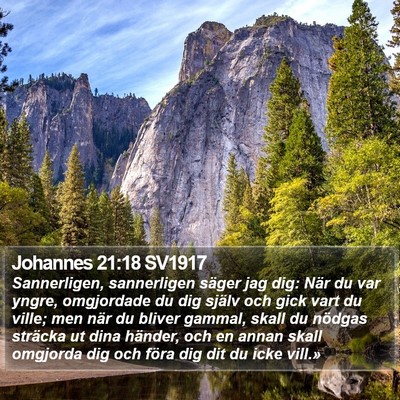 Johannes 21:18 SV1917 Bible Verse Image