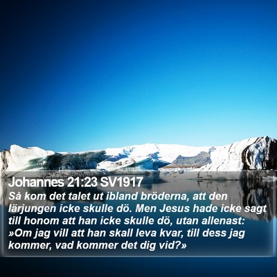 Johannes 21:23 SV1917 Bible Verse Image