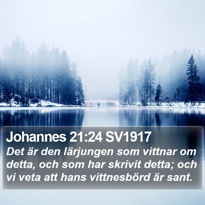 Johannes 21:24 SV1917 Bible Verse Image