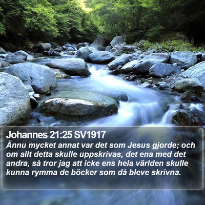 Johannes 21:25 SV1917 Bible Verse Image