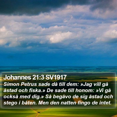 Johannes 21:3 SV1917 Bible Verse Image