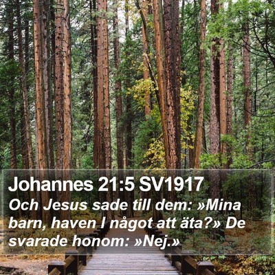 Johannes 21:5 SV1917 Bible Verse Image