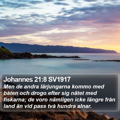 Johannes 21:8 SV1917 Bible Verse Image