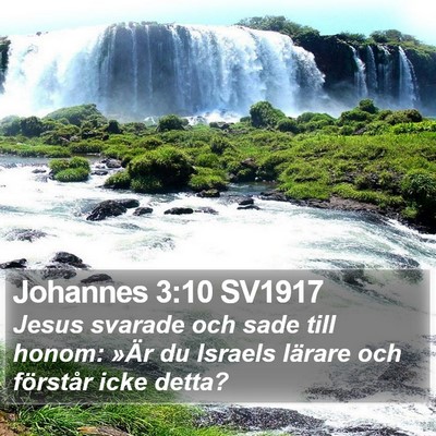 Johannes 3:10 SV1917 Bible Verse Image
