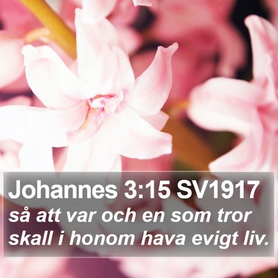 Johannes 3:15 SV1917 Bible Verse Image