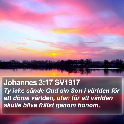 Johannes 3:17 SV1917 Bible Verse Image