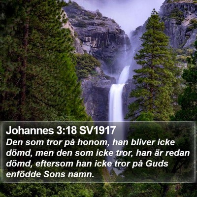 Johannes 3:18 SV1917 Bible Verse Image