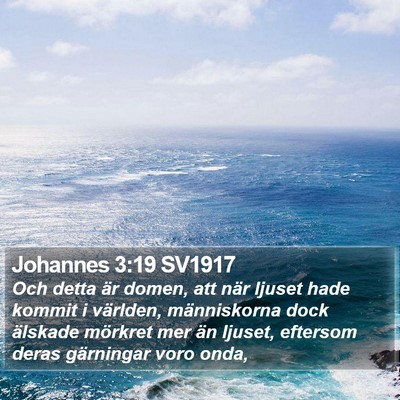 Johannes 3:19 SV1917 Bible Verse Image