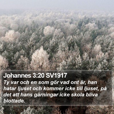 Johannes 3:20 SV1917 Bible Verse Image