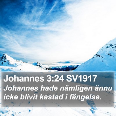 Johannes 3:24 SV1917 Bible Verse Image