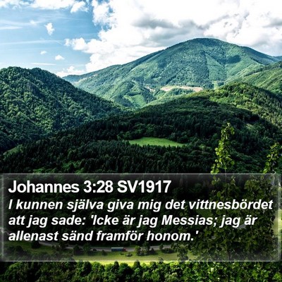 Johannes 3:28 SV1917 Bible Verse Image