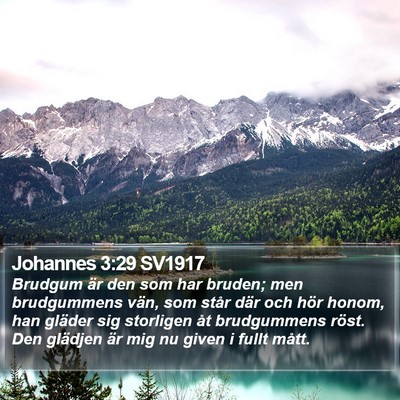 Johannes 3:29 SV1917 Bible Verse Image