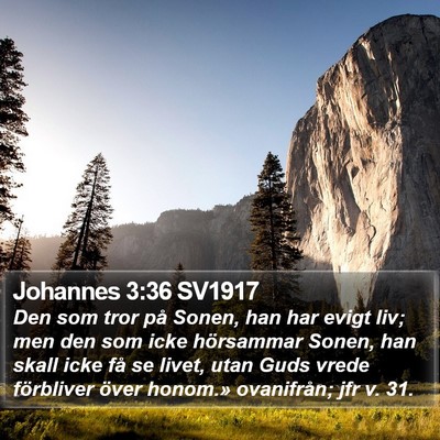 Johannes 3:36 SV1917 Bible Verse Image