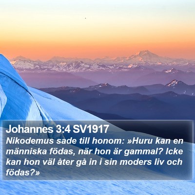 Johannes 3:4 SV1917 Bible Verse Image