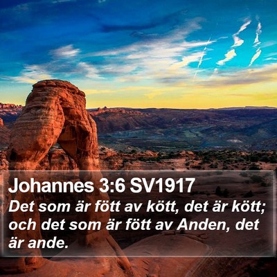 Johannes 3:6 SV1917 Bible Verse Image