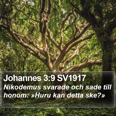 Johannes 3:9 SV1917 Bible Verse Image