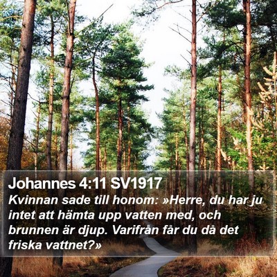 Johannes 4:11 SV1917 Bible Verse Image