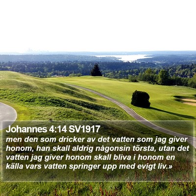 Johannes 4:14 SV1917 Bible Verse Image
