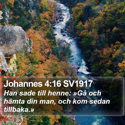 Johannes 4:16 SV1917 Bible Verse Image