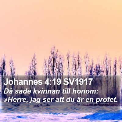 Johannes 4:19 SV1917 Bible Verse Image