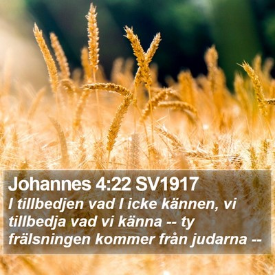 Johannes 4:22 SV1917 Bible Verse Image