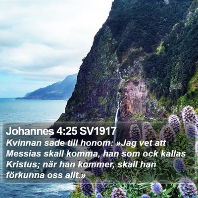 Johannes 4:25 SV1917 Bible Verse Image
