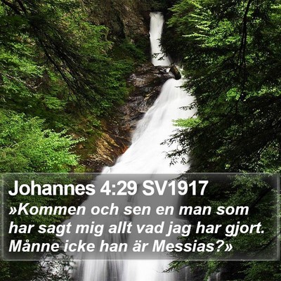 Johannes 4:29 SV1917 Bible Verse Image