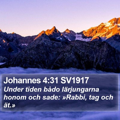 Johannes 4:31 SV1917 Bible Verse Image