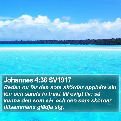 Johannes 4:36 SV1917 Bible Verse Image